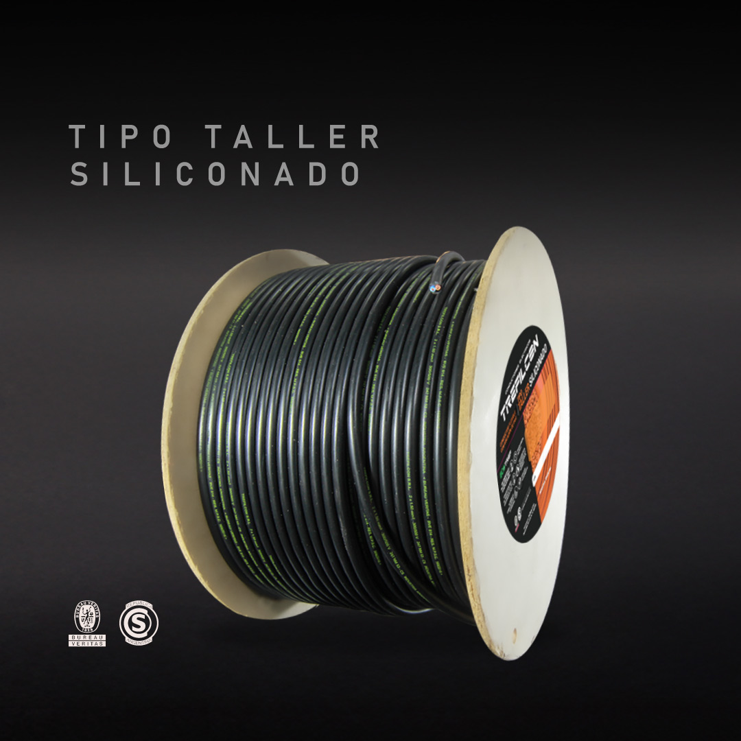 (2)-TIPO-TALLER-SILICONADO---Slider--1080X1080