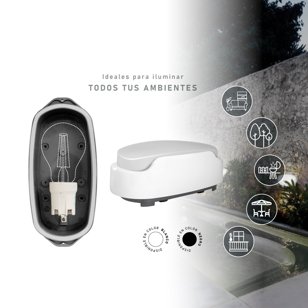 02-Slider-1080x1080-Tortugas-LAMPARA-LED