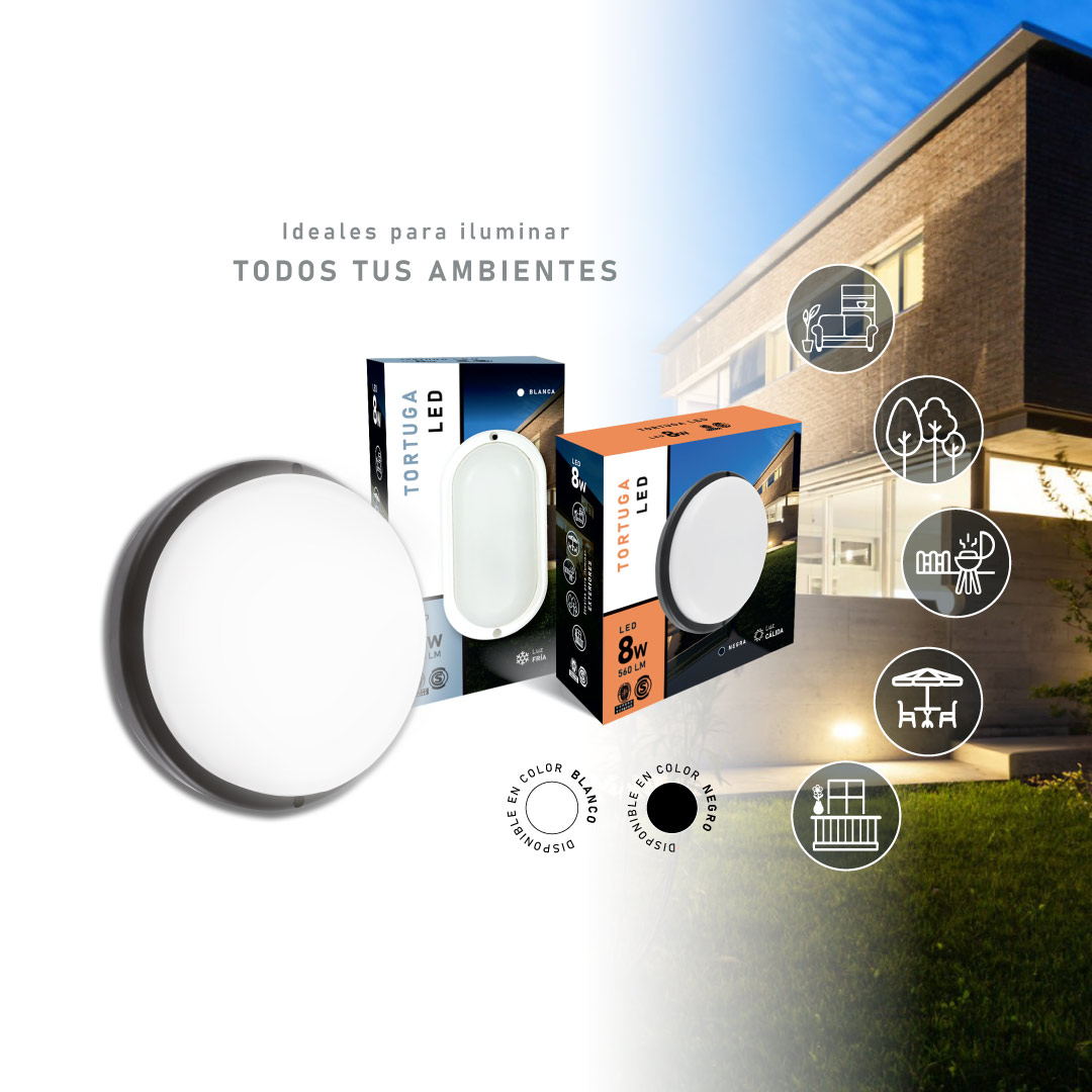 02-Slider--1080x1080-Tortugas-LED