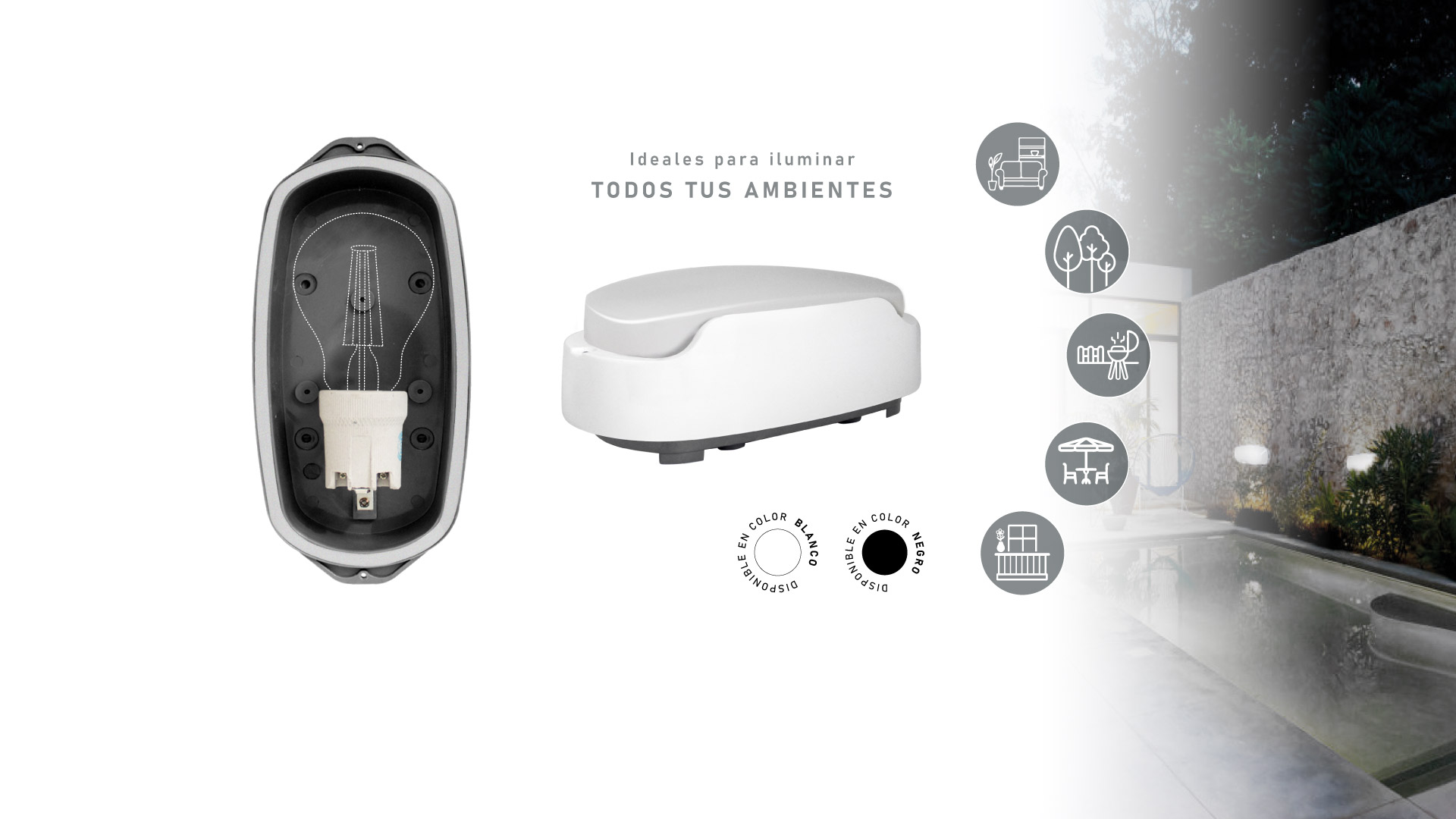 02-Slider-1920x1080-Tortugas-LAMPARA-LED