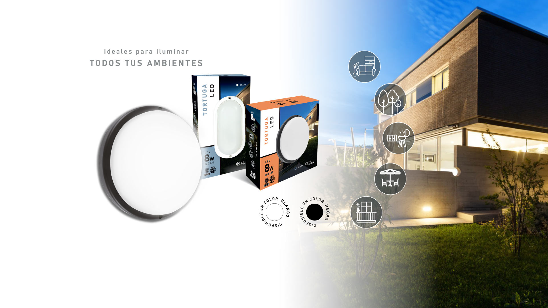 02-Slider-1920x1080-Tortugas-LED