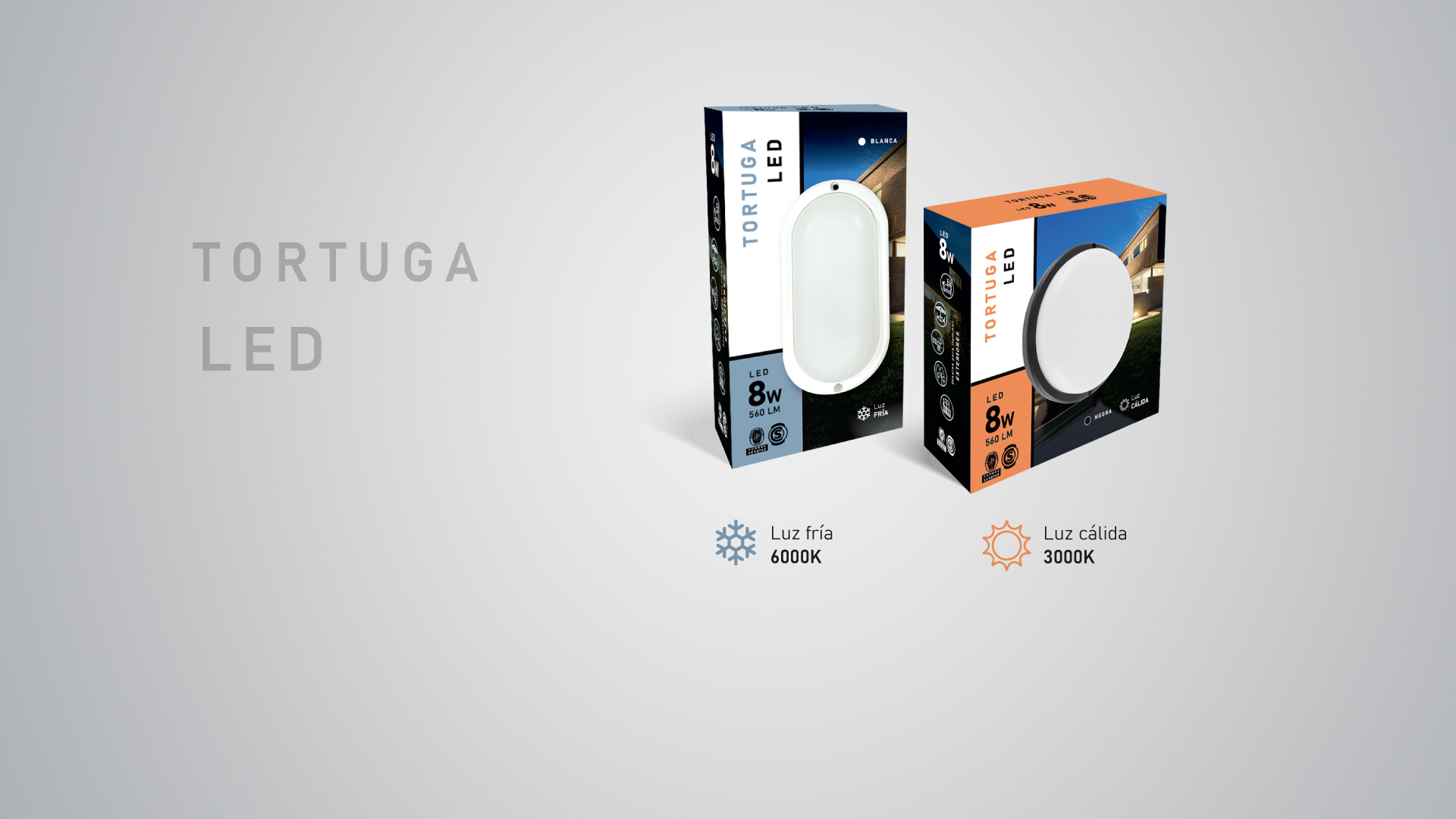 04-Slider-1920x1080-Tortugas-LED